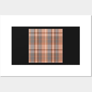 Light Academia Aesthetic Conall 2 Hand Drawn Textured Plaid Pattern Posters and Art